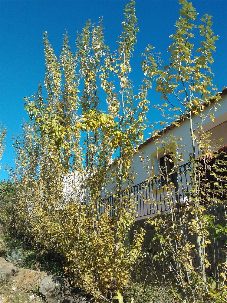 Casas Do Palheiro Velho Konuk evi Castro Marim Dış mekan fotoğraf